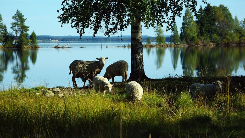 Hotel Lits Camping, Stugby Och Kanot Exterior foto